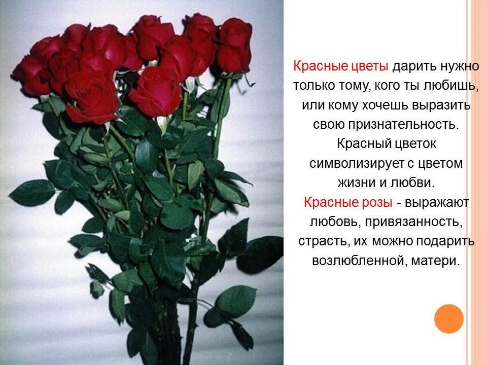Какого цвета дарить розы. Язык цветов розы. значение роз на языке цветов. значимость цвета розы. красная роза на языке цветов.