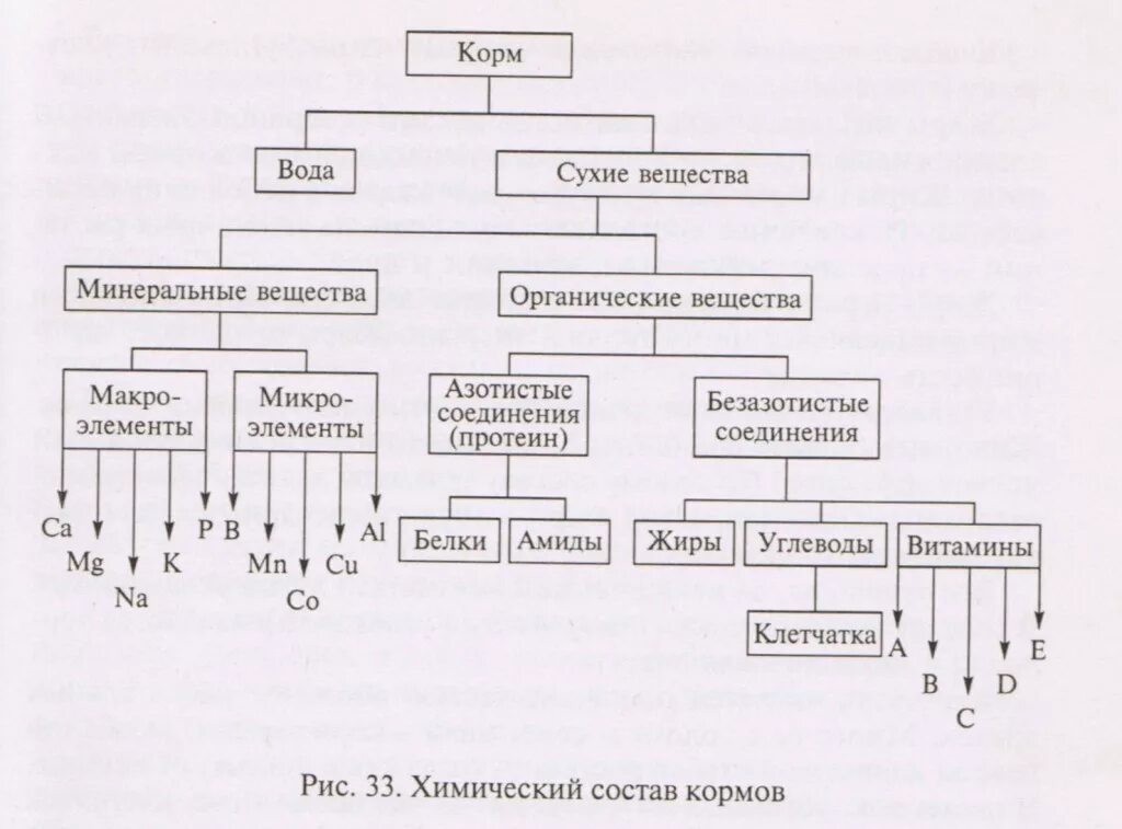 Основные группы растительных кормов. Схема зоотехнического анализа химического состава кормов. Схема химического состава корма. Начертите схему химического состава кормов. Составьте схему химического состава кормов..