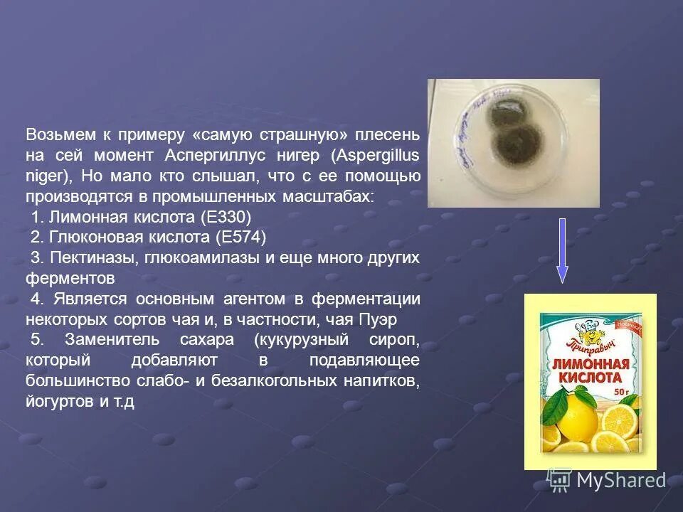 ломка культурных стереотипов. тем самым пример. диалог сократа пример.