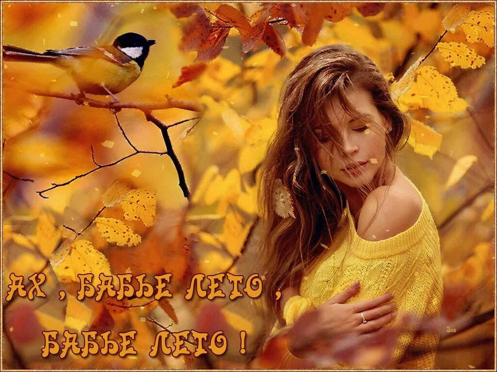 С наступлением осени. Последний теплый день осени. Вот и лето прошло открытки. Была осень было лето. Теплого осеннего дня.