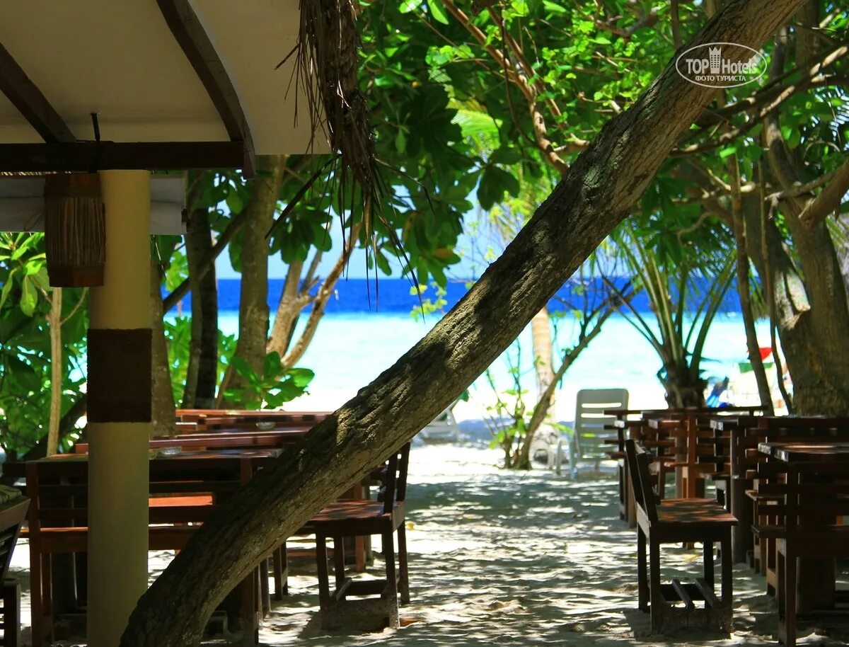 Отель Мальдивы Biyadhoo Island Resort 3. Biyadhoo Island Resort 3* Мальдивы, Мальдивы. Мальдивы Biyadhoo Island Resort 3* Мале Атоллы / Южный Мале Атолл. Biyadhoo Island Resort 3* номер. Island resort 3