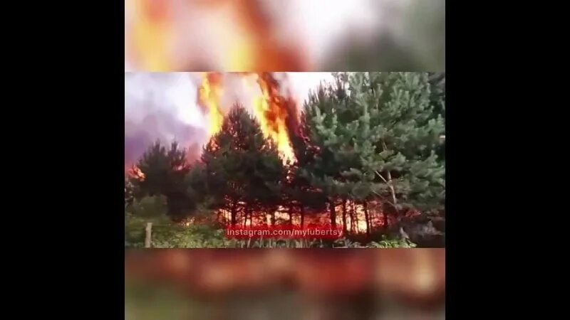 что горит в родниках