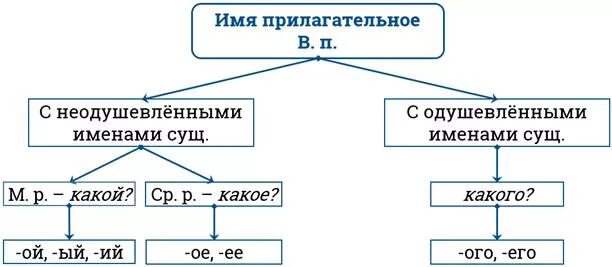 Как отличить винительного в существительных. Как определить винительный падеж от родительного у прилагательного. Именительный, винительный, родительный падеж имени прилагательного. Родительный и винительный падежи имени прилагательного. Как определять родительный и винительный падежи имен прилагательных.