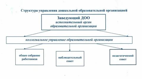 Определение дошкольные образовательные организации