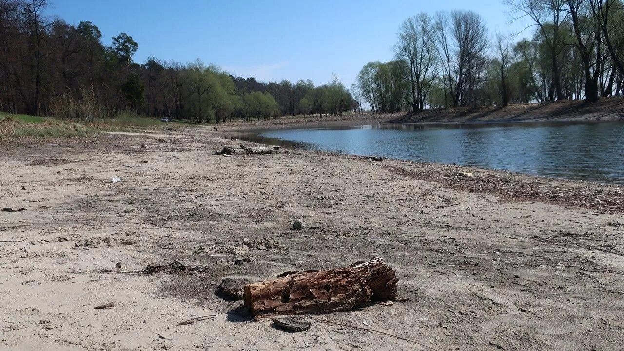 Уровень воды в клязьме город ковров. Обмеление реки Волги. Река Волга обмелела. Река Клязьма обмелела. Река Клязьма обмеление.