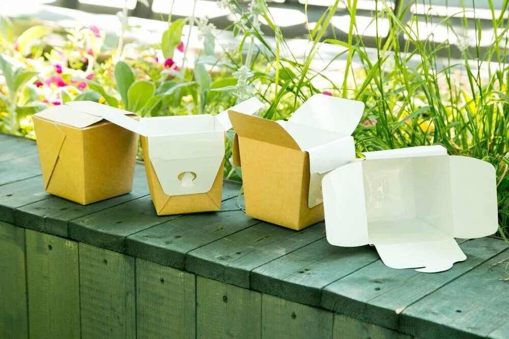 Био бокс картонный. Био упаковка для еды. Картонная упаковка для сотового меда. Био упаковка. Лоток biopak.