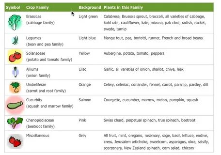 Grow vegetables перевод