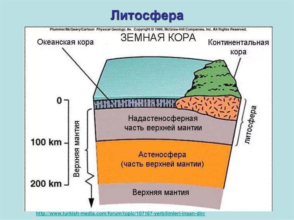 Горные породы образуют земную кору