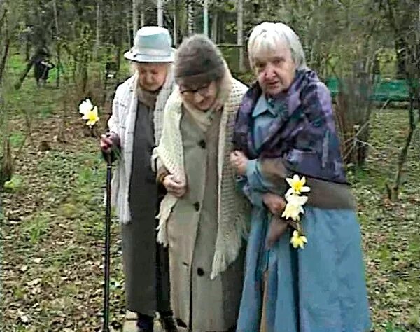 Цветаев бабушкин внучок