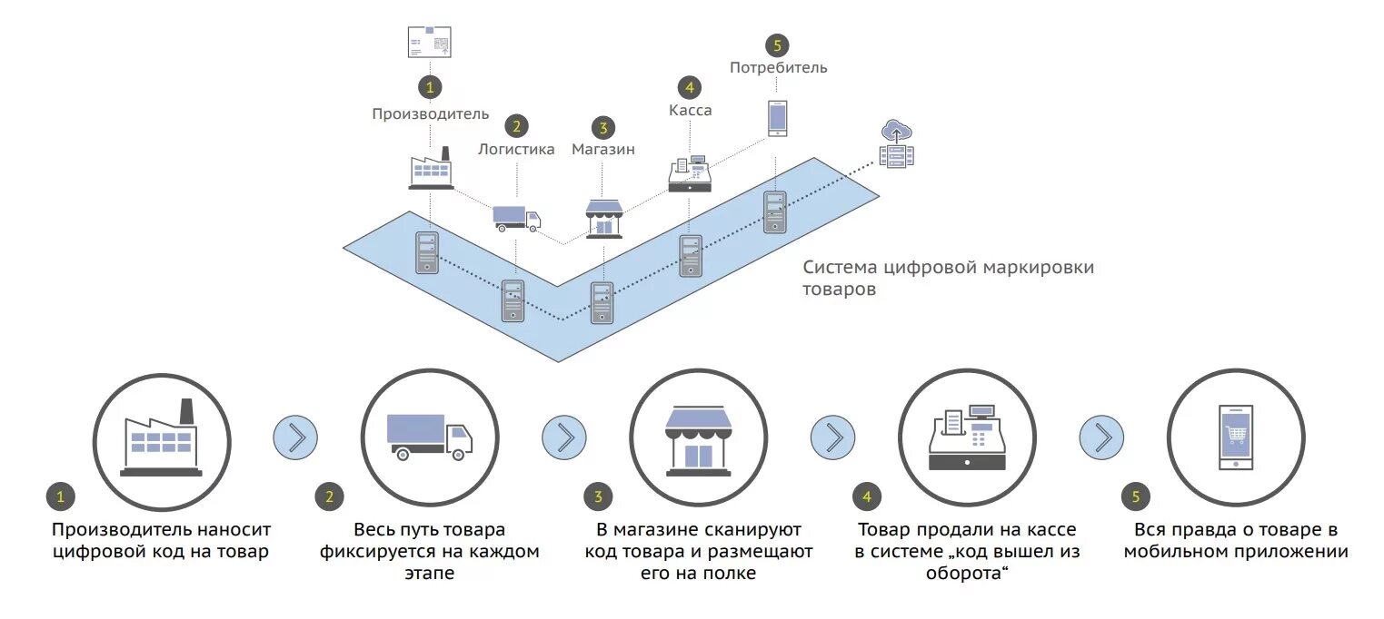 Система маркировки и прослеживаемости товаров. Схема маркировки товаров. Система маркировки товаров в ЕАЭС. Маркировка продукции схема. Способы маркировки товаров