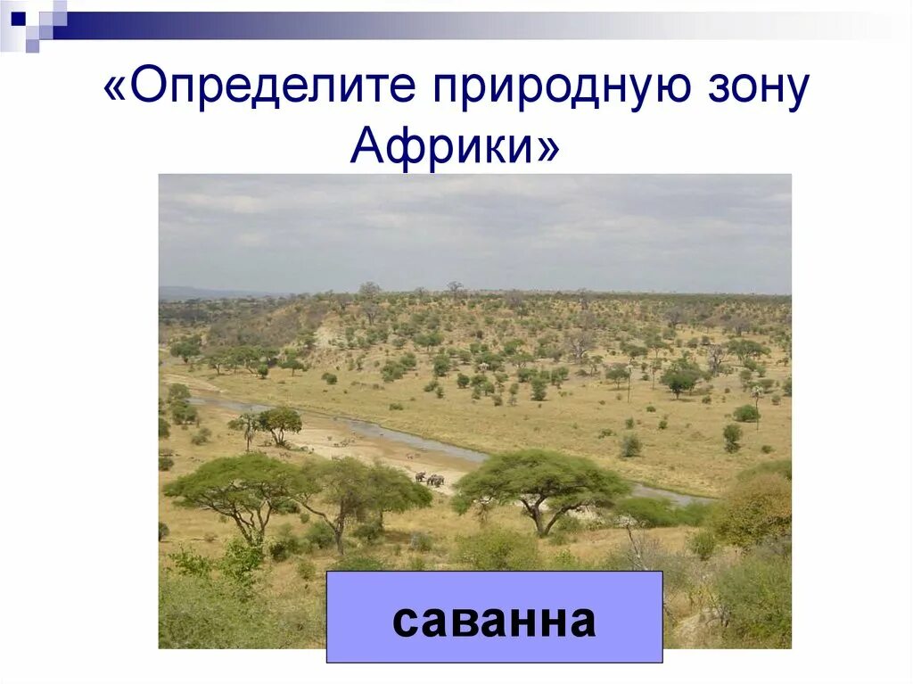 5 природных зон африки. Природные зоны Африки. Карта природных зон Африки. Саванна на карте Африки. Природные зоны Африки таблица.