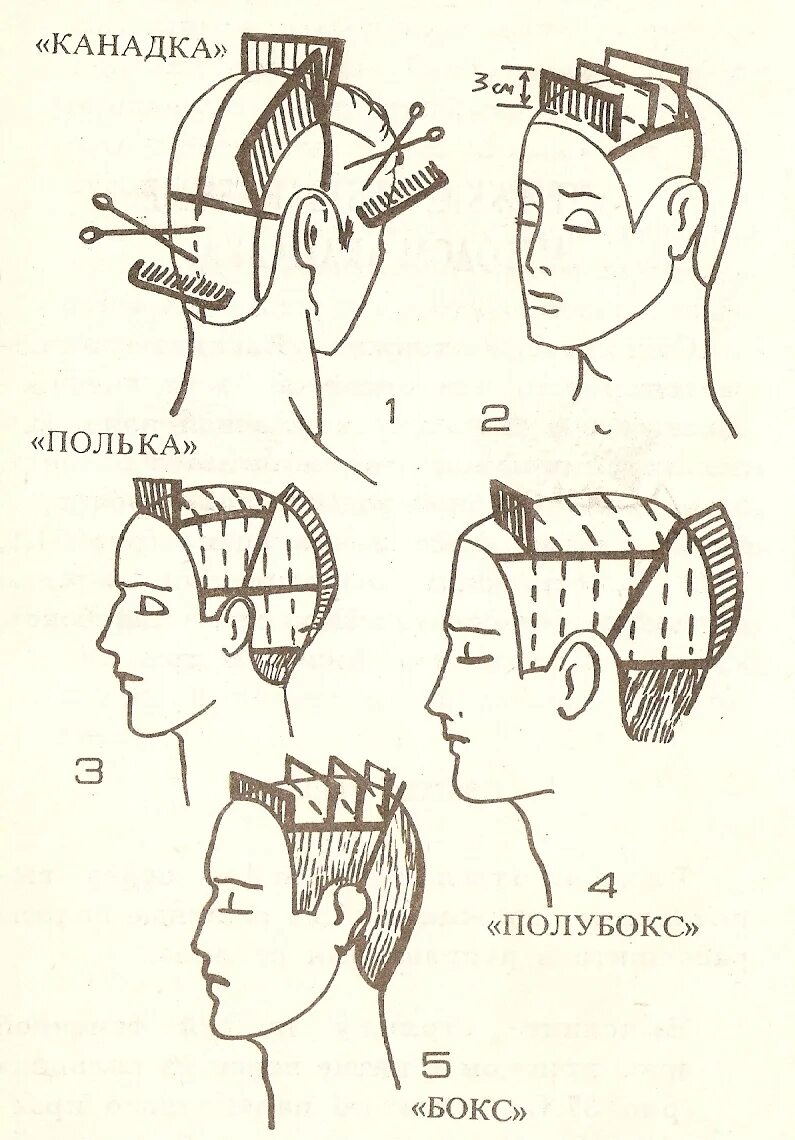 Как стричь мужские стрижки для начинающих. Стрижка полубокс схема выполнения. Схема стрижки канадка мужская. Канадка мужская стрижка схема выполнения. Мужская стрижка канадка технология выполнения схема.