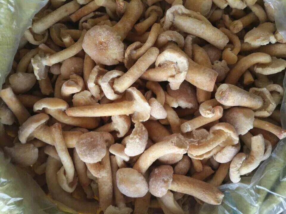 Заморозить опята фото Салат с куриными сердечками, морковью и фасолью рецепты с фото на