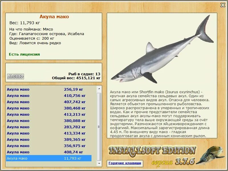 Мако акула опасна для человека. Акула мако русская рыбалка. Акула мако и сельдевая акула. Атлантическая сельдевая акула. Геновеса акула мако.