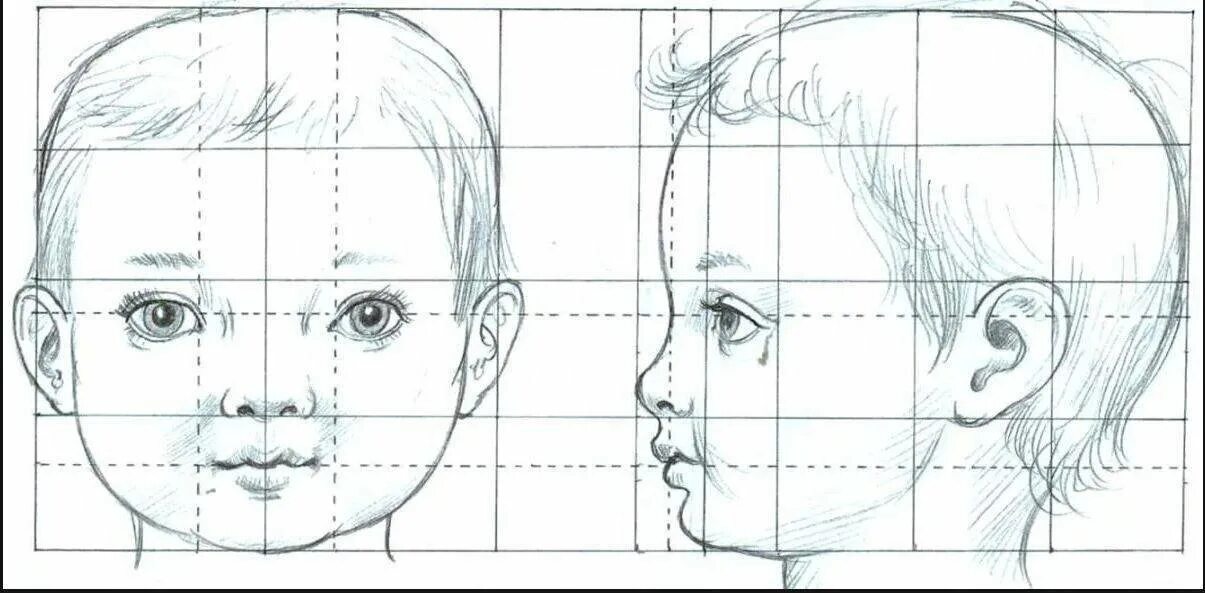 Пропорции портрета человека профиль. Пропорции головы человека рисунок. Пропорции лица ребенка для рисования. Пропорции лица человека для детей.