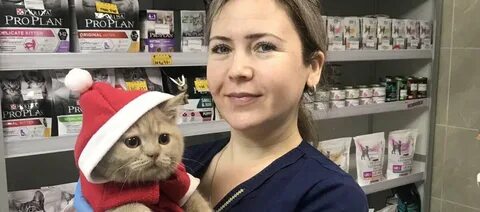 Ветеринарная ломоносов