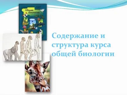 Биология основные темы биологии