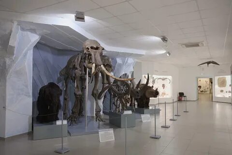 Сайт музея природы новосибирск