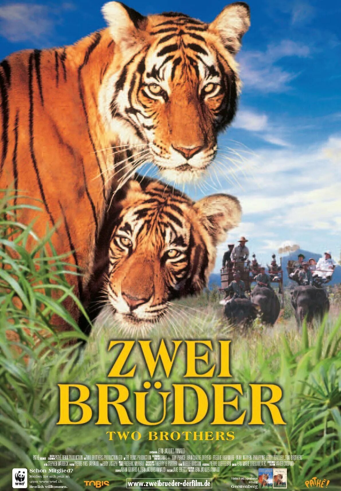 два брата 2004. братья про тигров. фото 2 здоровый 2 братья тигры. два брата про тигров. два брата 2004.