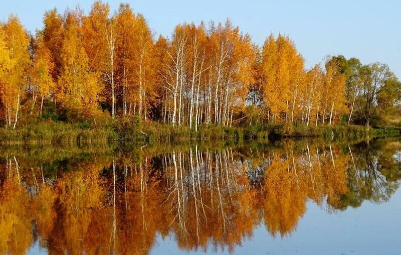 За свое за родное самарская область. Самарская область осень природа. Самарская природа осенью. Родная природа осенью. Красота родного края Самара.