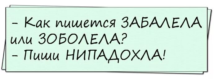 Как писать выздоровишь или выздоровеешь. Нипадохла анекдот. Нипадохла карикатура. Выздоровела или выздоровила пиши Нипадохла. Анекдот как правильно пишется выздоровела или.