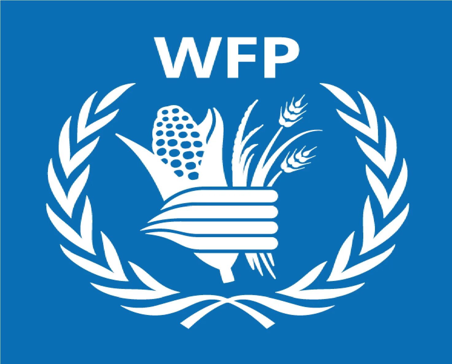 ООН WFP. Всемирная продовольственная программа ООН (ВПП). WFP логотип. Флаг WFP. Продовольственная оон