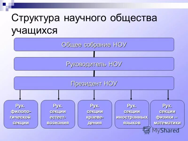 Структура научной программы. Структура научной программы