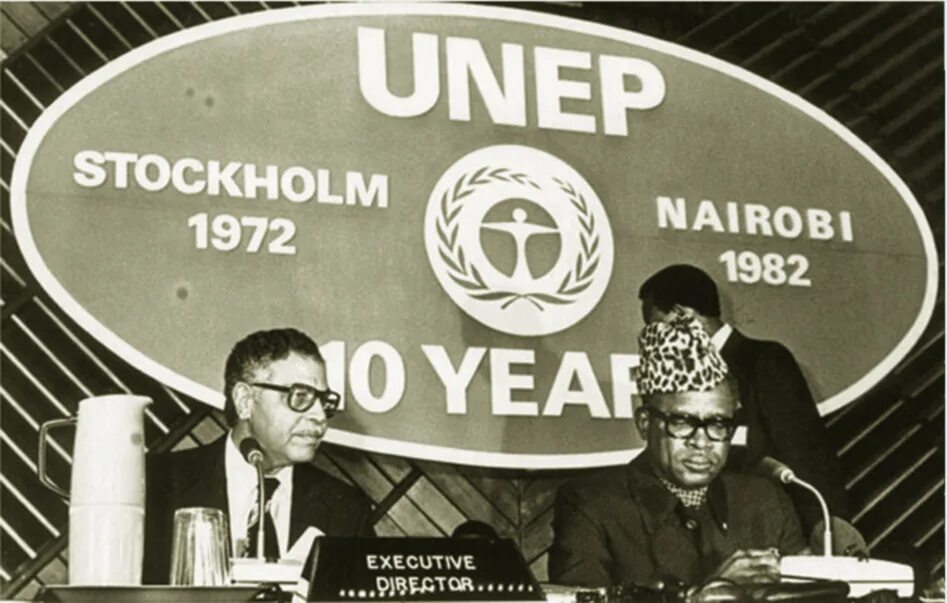 1972 год конвенция. Конференция в Стокгольме 1972. Конференция ООН В Стокгольме 1972. Первая Всемирная конференция по окружающей среде Стокгольм 1972. Стокгольмская конференция ООН по окружающей среде 1972 г.