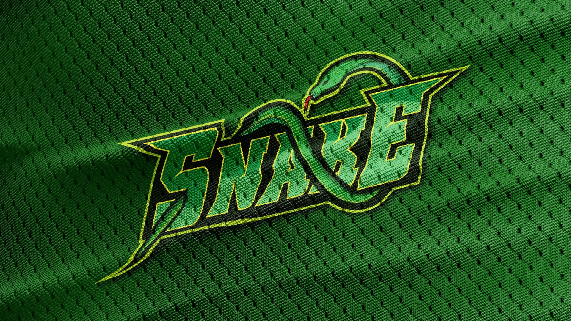 Команда змейка. Эмблема змеи. Змейка лого. Зеленый логотип Snake. Логотипы команд со змеей.