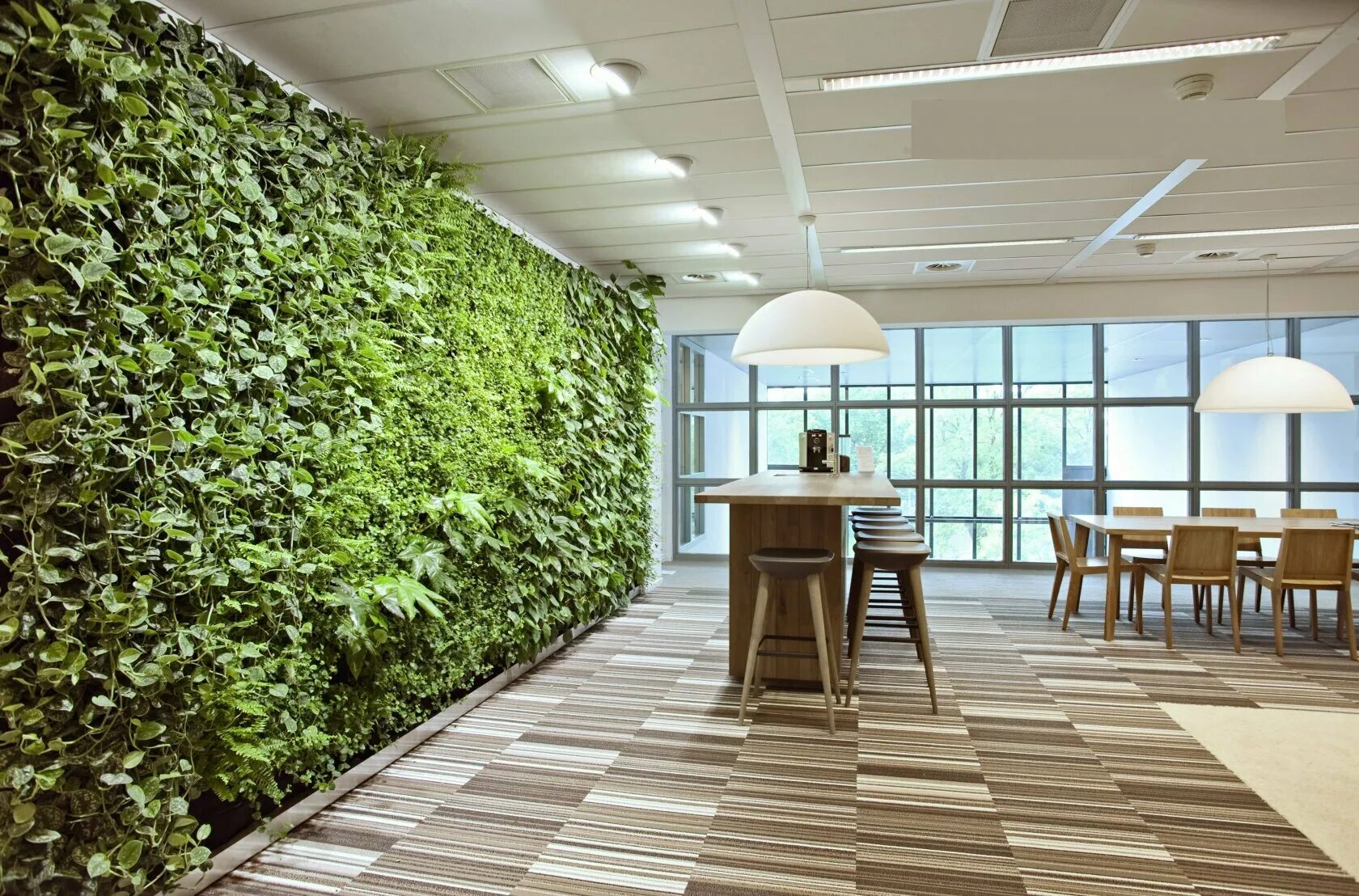 Живые растения ростов. Фитостена вертикальное озеленение. Живые растения ростов. Теплица атриум. Живые растения ростов.