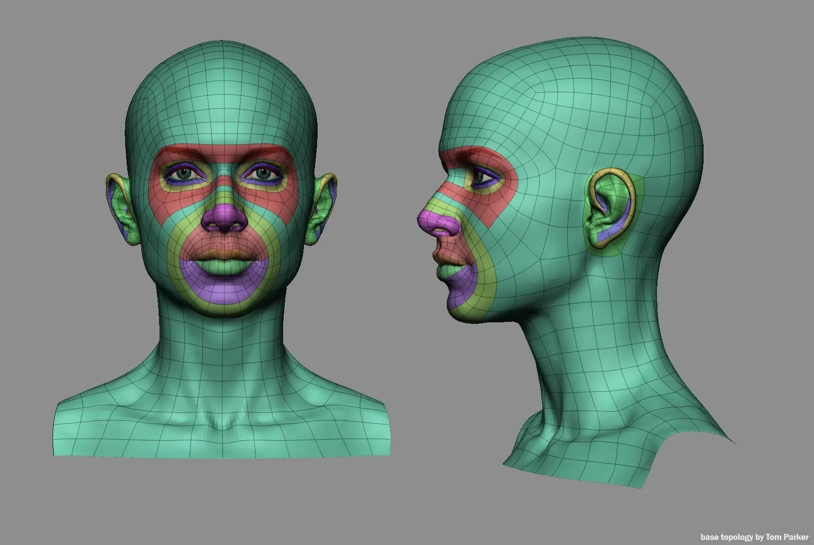 Зд лица. Ретопология референс. Топология 3d персонажа. Ретопология персонажа правильная. 3d ретопология.