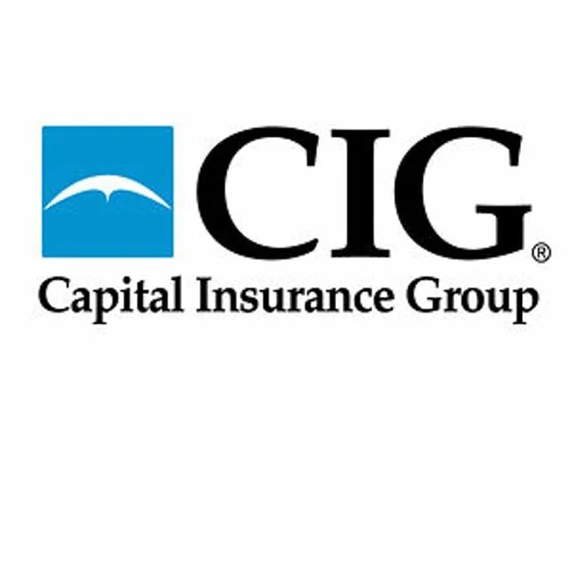 Capital insurance. Capital Group Companies. Капитал компании это. Capital Group Ltd.