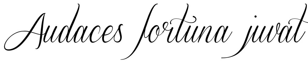 сопутствующий на латыни. тату надписи. сопутствующий на латыни. надписи для тату для девушек со смыслом. православные надписи татуировки.