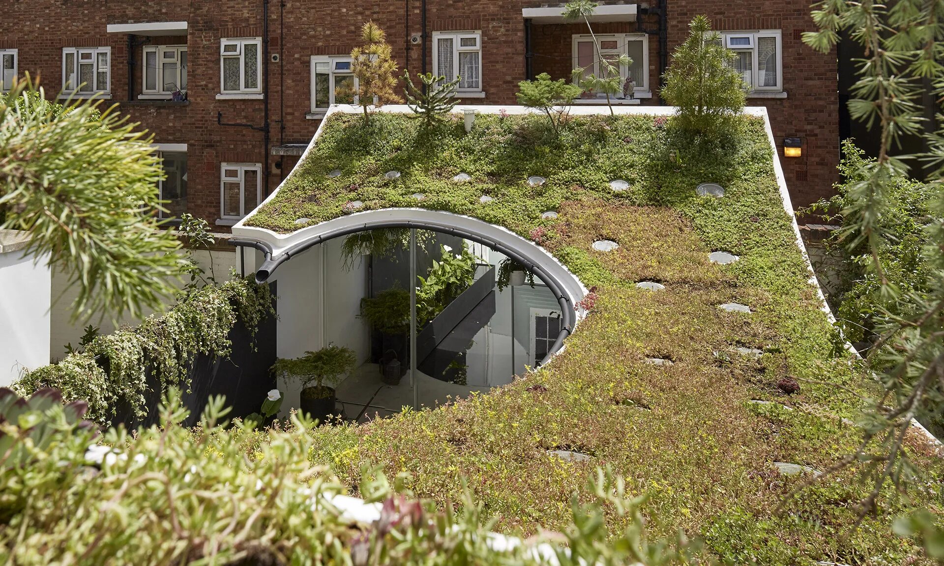 Зеленая крыша читать. Эксплуатируемая плоская кровля Green Roof. Экстенсивная зеленая кровля. Экстенсивная зеленая кровля плоская. Кандинский зеленая кровля.