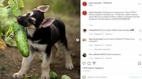 Лживый щенок 21 глава