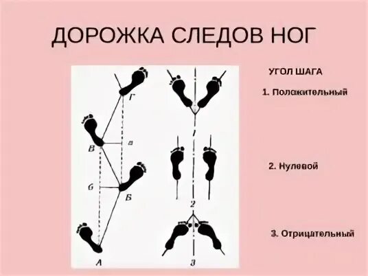 Протокол дорожки следов. Дорожка следов криминалистика. Дорожка следов ног криминалистика. Схема дорожки следов криминалистика. Схема дорожки следов ног.