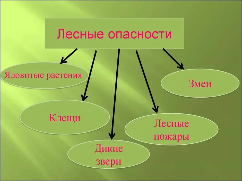 Какие опасности могут встретиться в лесу. Лесные опасности. проект лесные опасности. лесные опасности 2 класс. лесные опасности окружающий мир.
