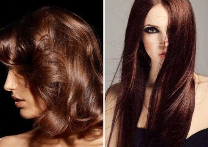 элисон ле борж. бронзовый цвет волос. цвет волос бронза. цвет волос бронза. цвет волос бронза.