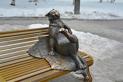 Коты в йошкар оле