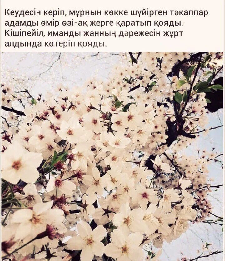 Не гордись а то. Не гордись своей внешностью. не гордитесь своей внешностью. не гордитесь своей внешностью потому что. не гордись своей внешностью не ты ее создал а гордись своей душой.