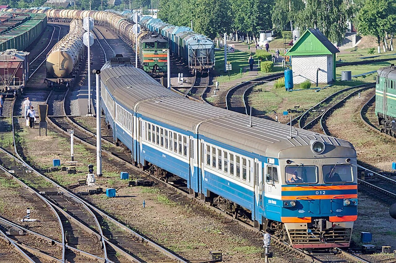 Транспортные беларуси