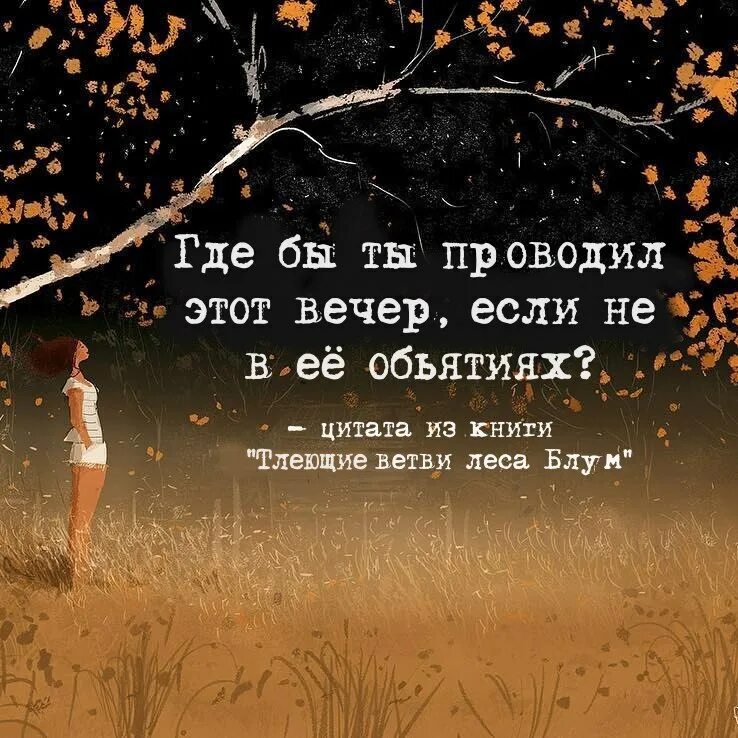 Цитаты лета со смыслом. Цитаты про вечер. Цитаты из книг. Фразы про вечер. Высказывания про вечер.