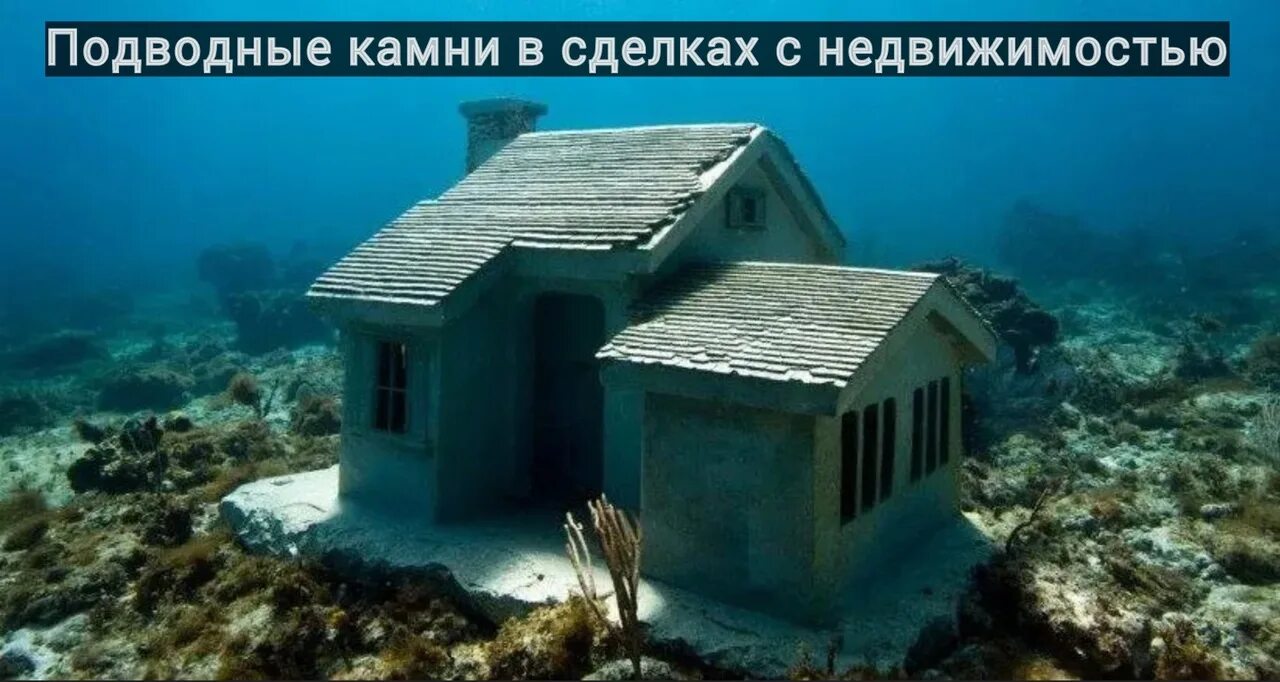 Домик под водой. Дом на дне океана. Жилище под водой. Дом под водой в жизни. Подводные камни новостроек