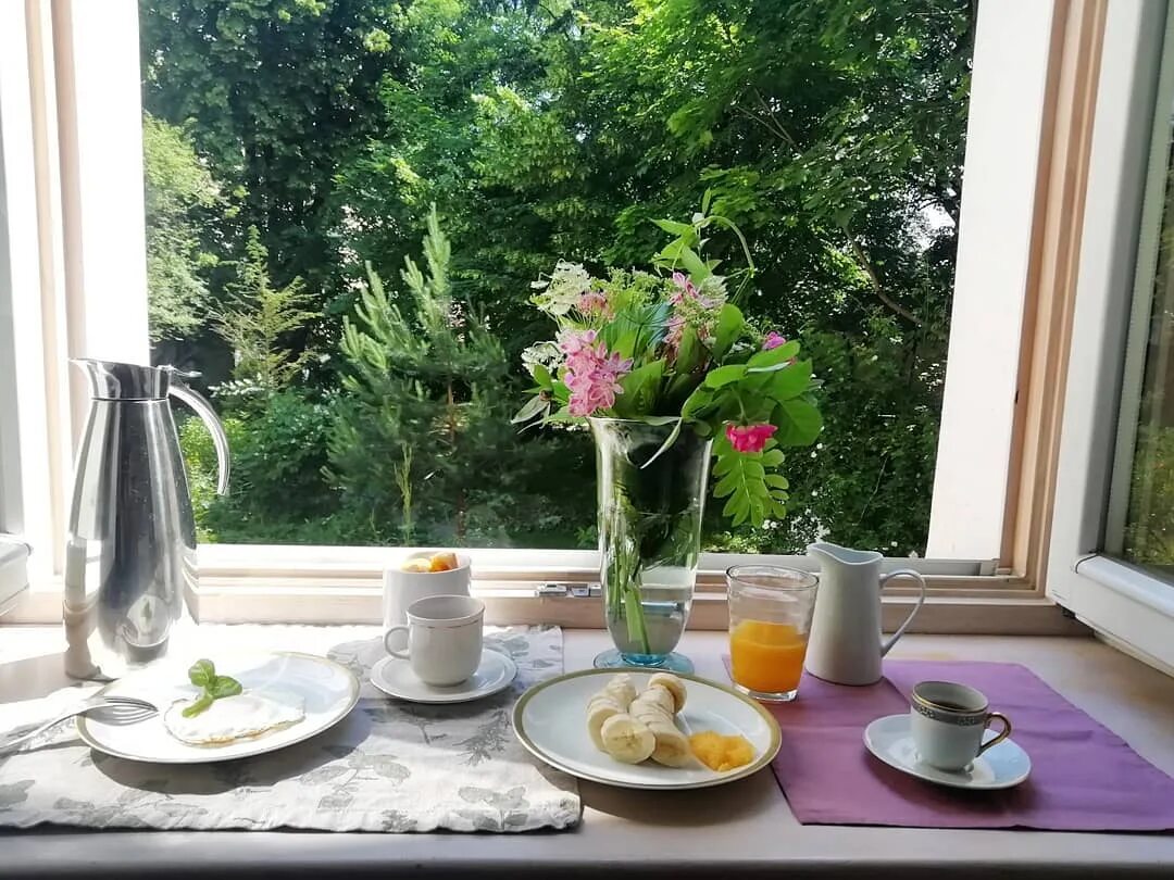 Шутки про сов и жаворонков. Яркое солнце весной. Утро начинается в обед. Каждое утро. Мотиватор на вечер.