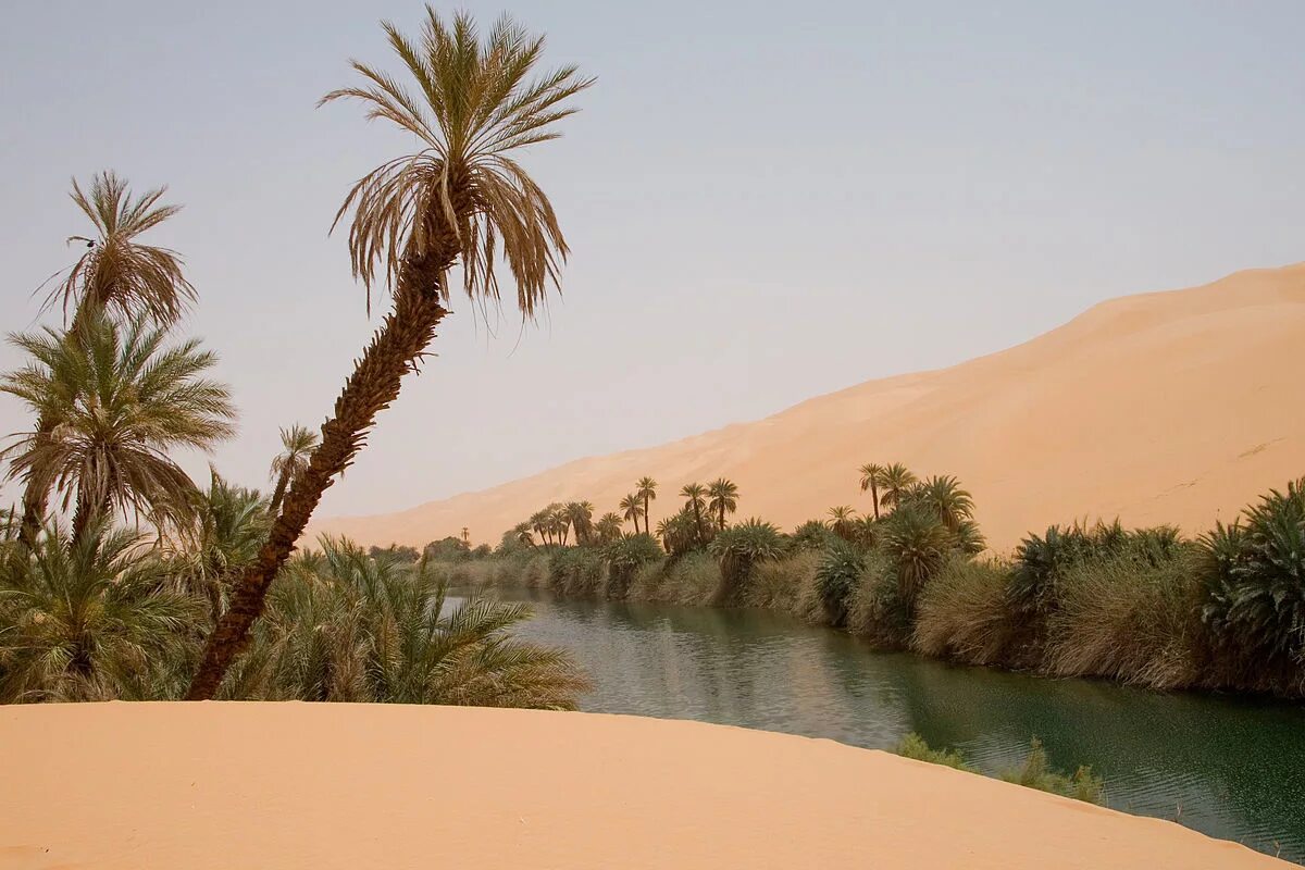 Какая природа египта. Оазис Убари Ливия. Пустыня сахара Оазис. Оазис Убари в пустыне. Оазис Убари в Египте.