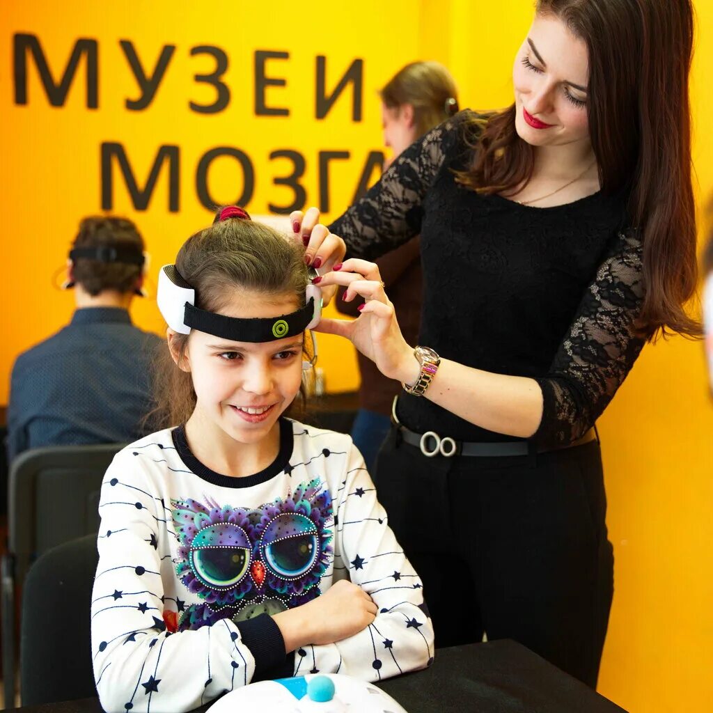 музей мозга ул марата 86. музей мозга спб. музей мозга санкт-петербург официальный сайт. марата 86 музей мозга. музей мозга санкт-петербург.