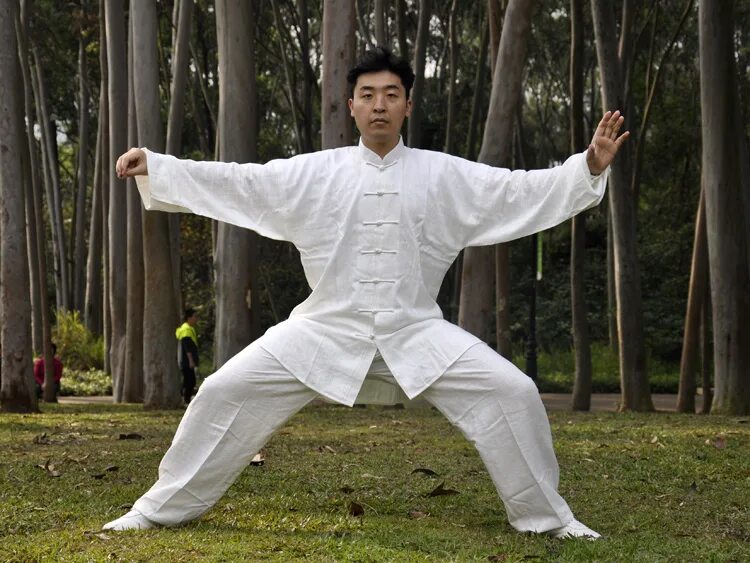 мастер тай чи 2022