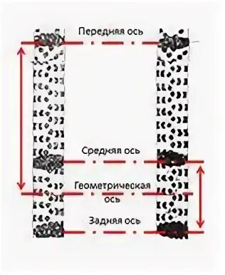 Протокол осмотра следов транспортного средства. Протокол следа транспортного средства. Протокол фиксация следов транспортного средства. Протокол осмотра места происшествия следов протектора шин.