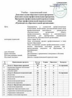 Программа руководителя образовательной организации