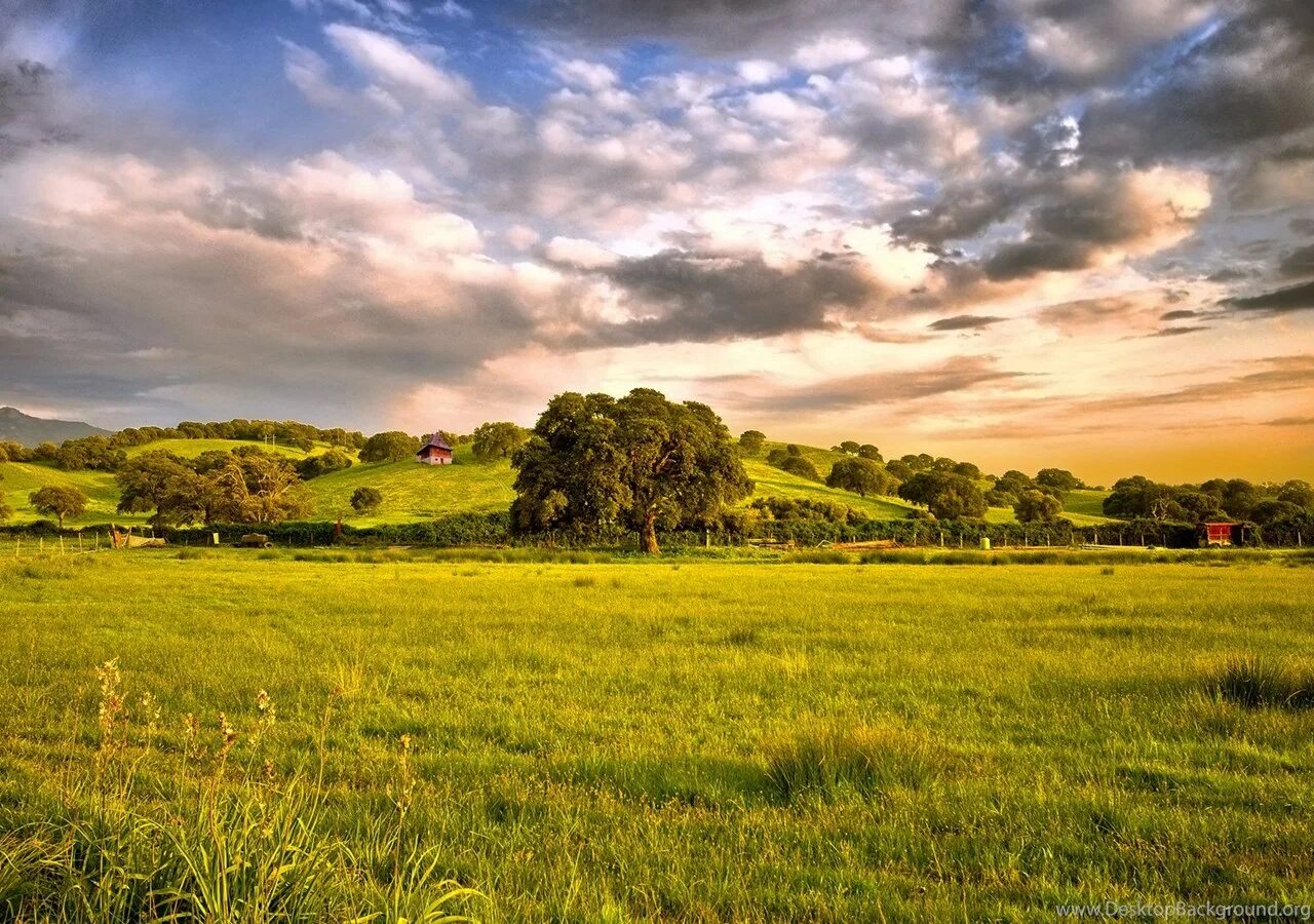 Камп ноу 1920 1080. Стадион крикет трава. Full ground. Full ground. Full ground.